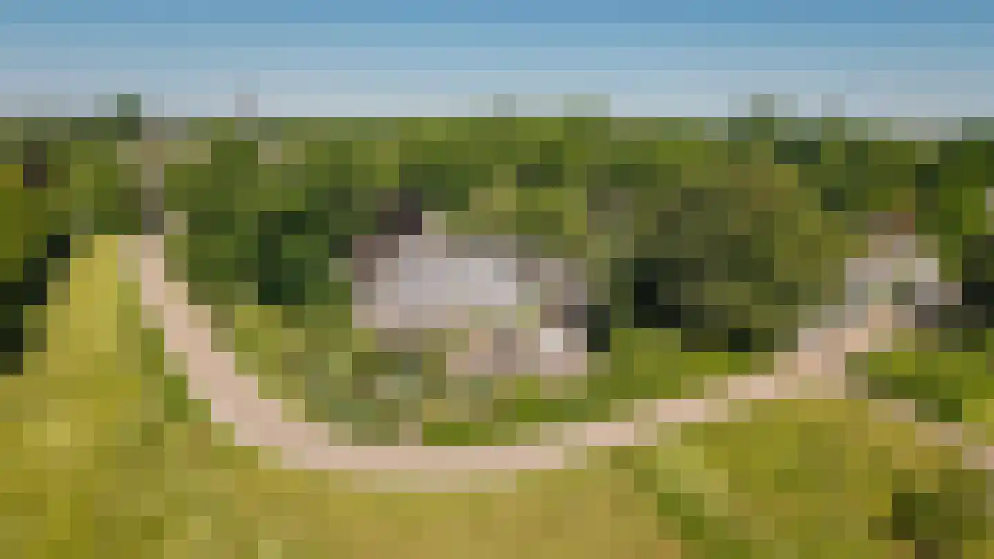 Maasdijk 12 Rossum thumbnail 97