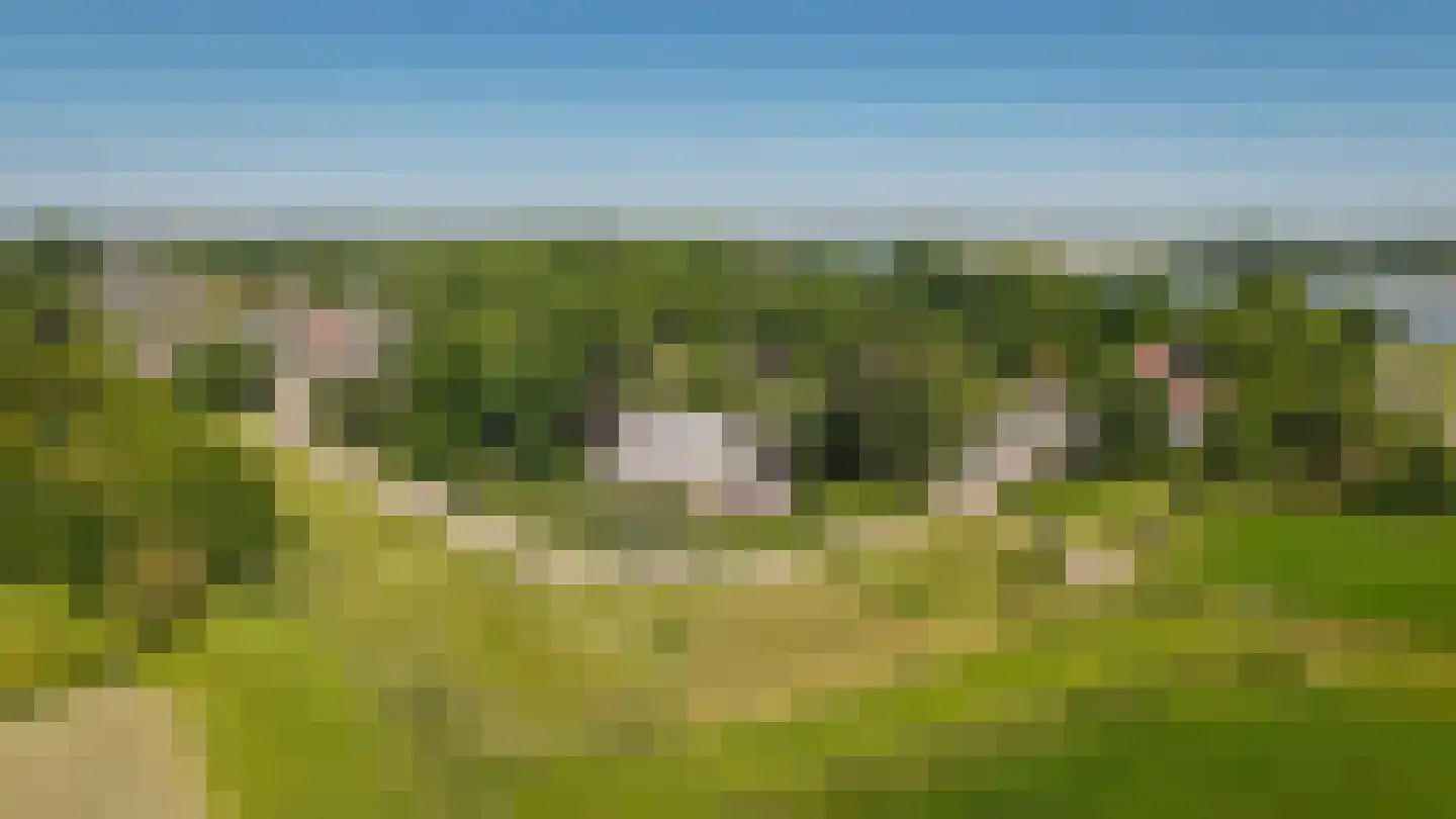 Maasdijk 12 Rossum thumbnail 98