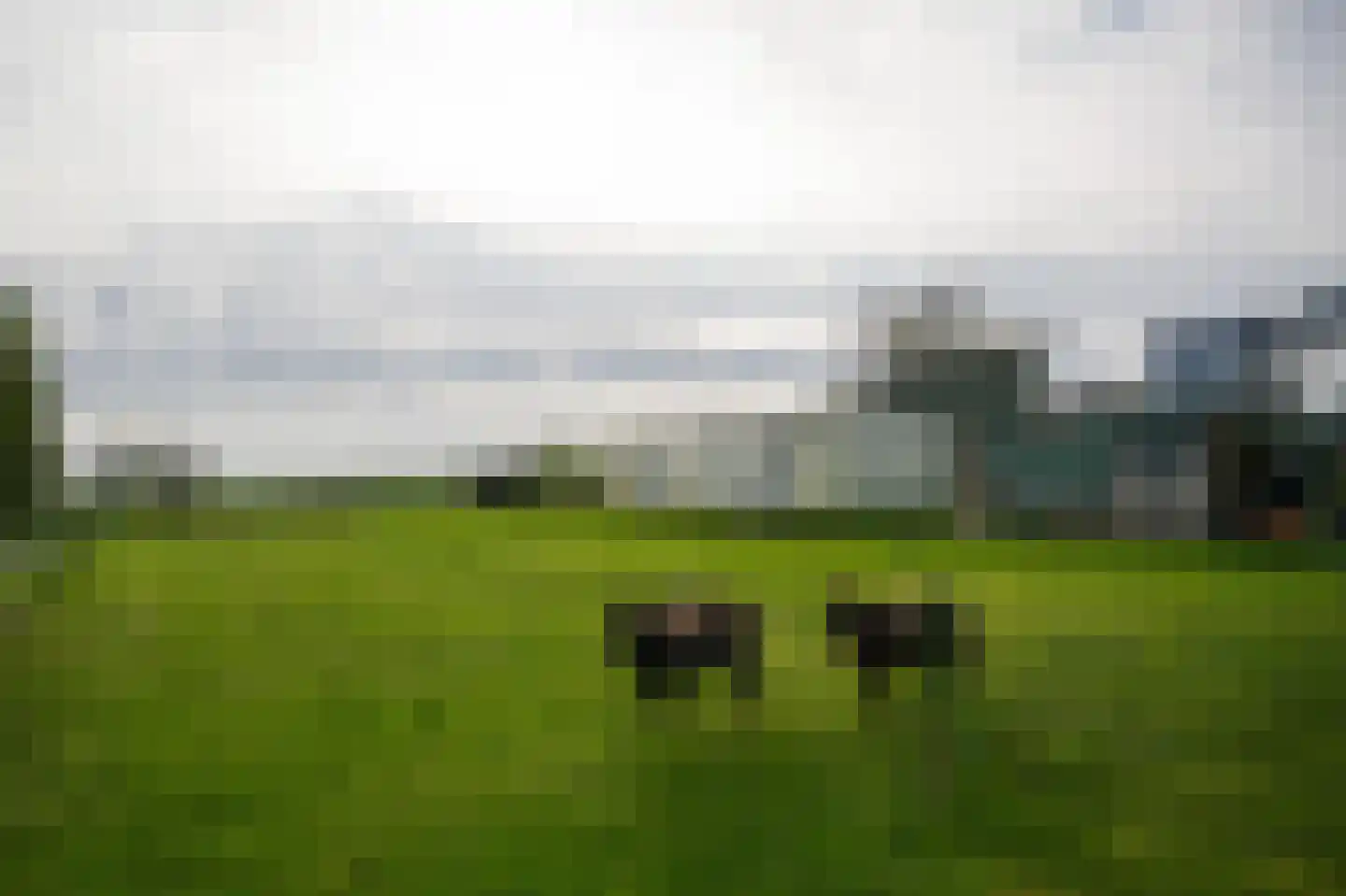 Maasdijk 138 Aalst thumbnail 42