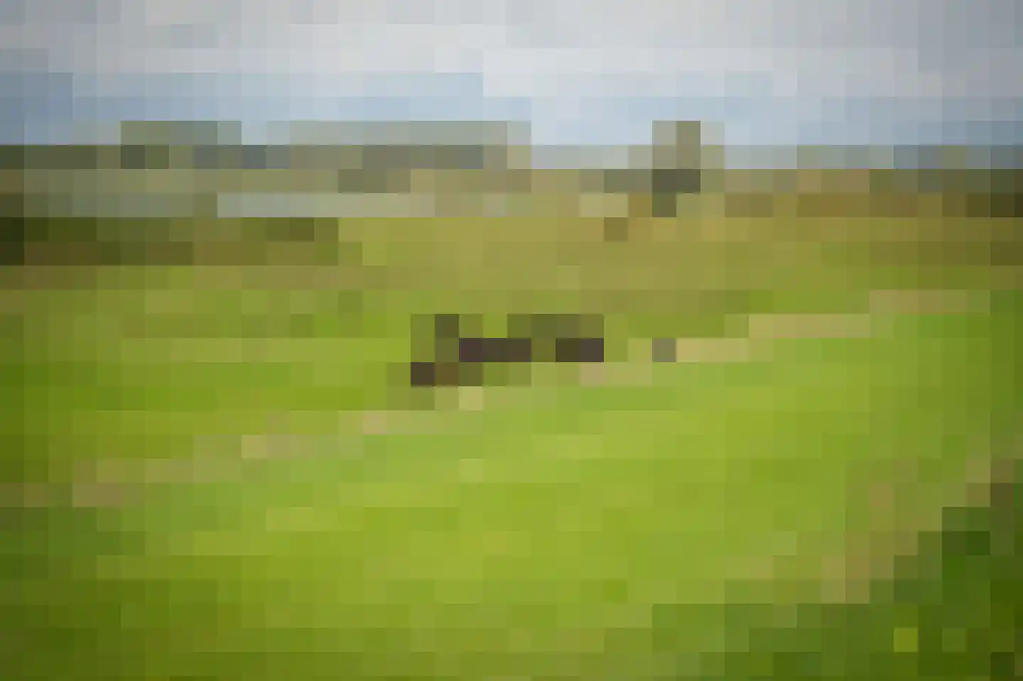 Maasdijk 138 Aalst thumbnail 51