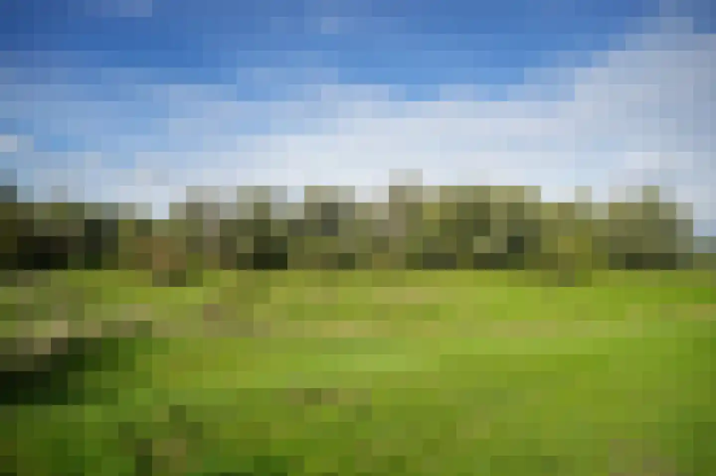 Maasdijk 138 Aalst thumbnail 52
