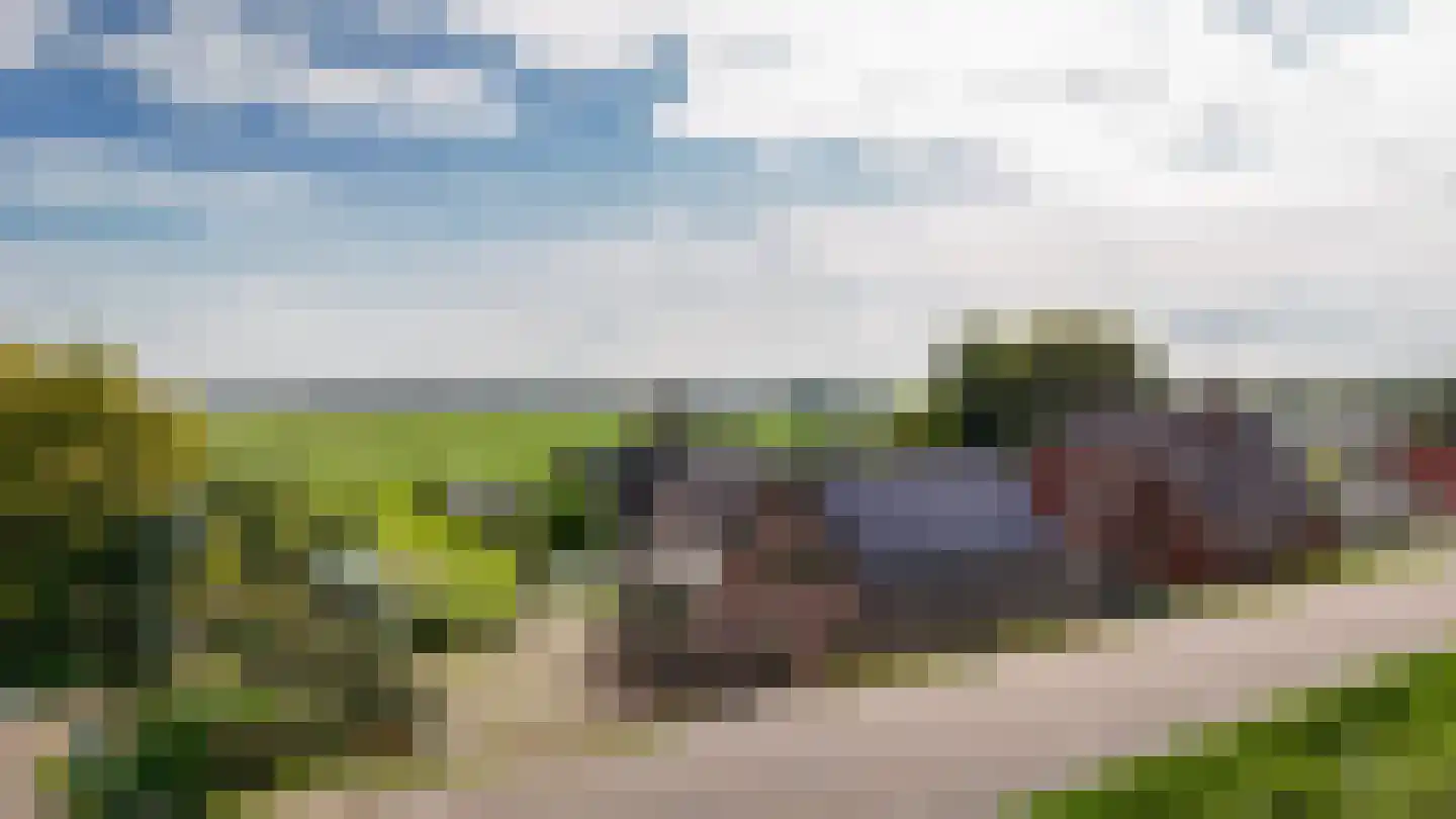 Maasdijk 138 Aalst thumbnail 53