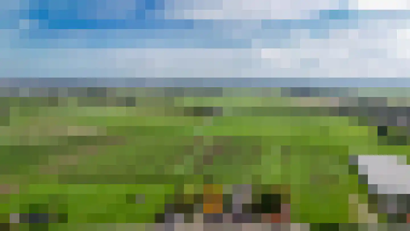 Maasdijk 138 Aalst thumbnail 55