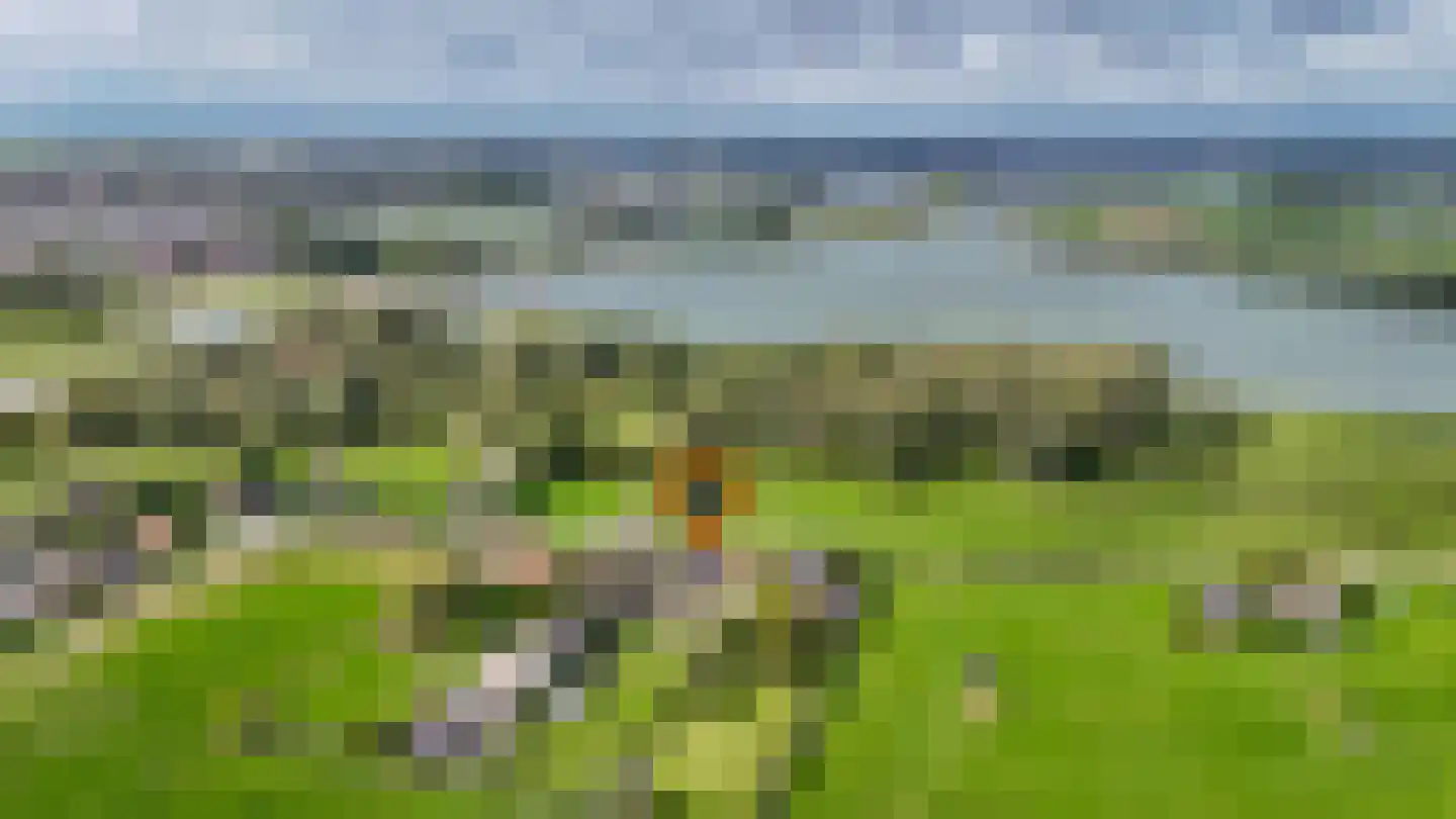 Maasdijk 138 Aalst thumbnail 56