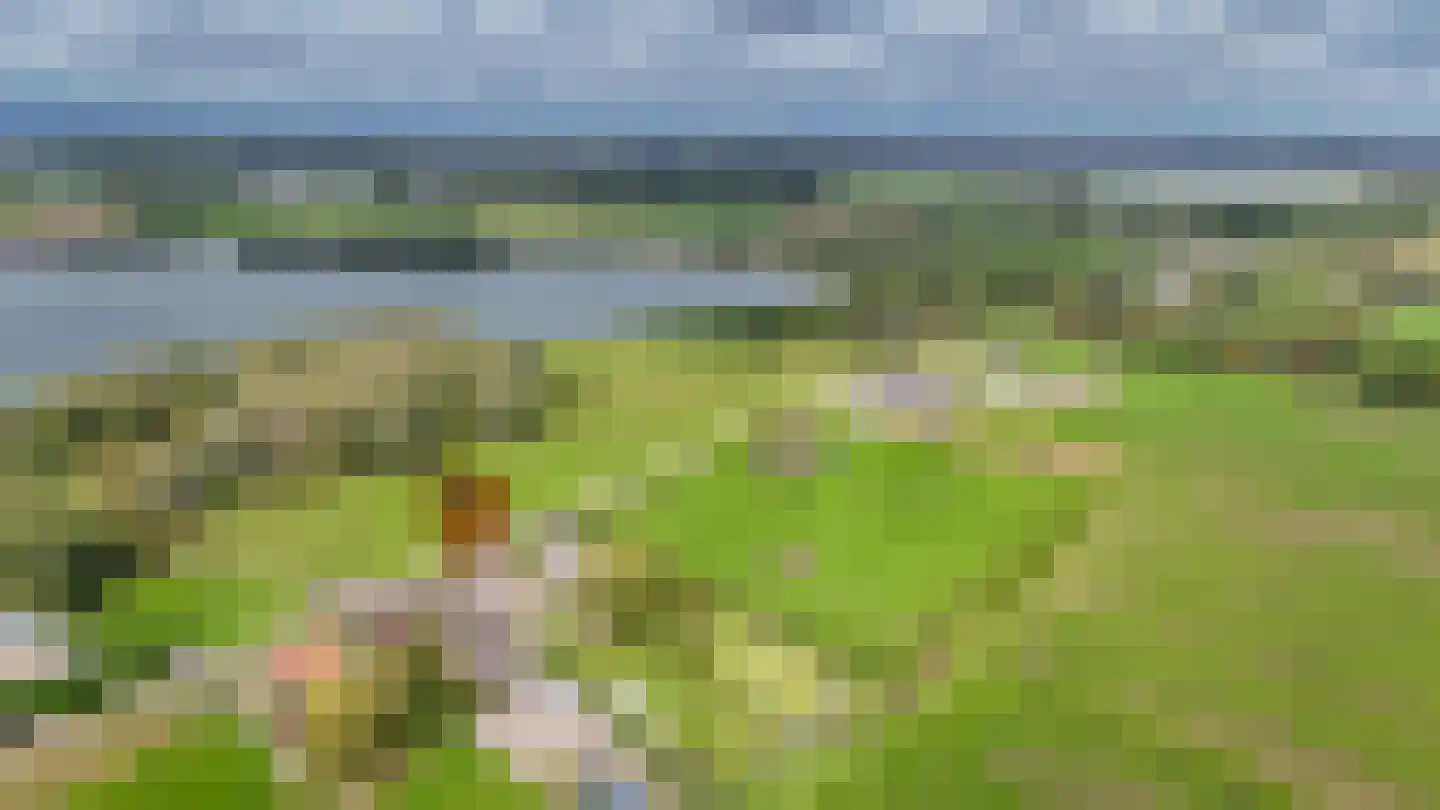 Maasdijk 138 Aalst thumbnail 57