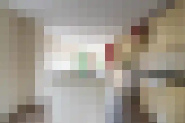 Maasdijk 14 Giessen thumbnail 11