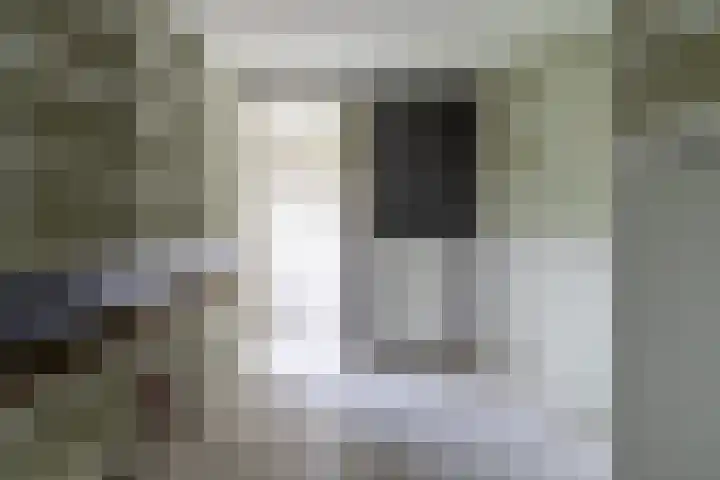 Maasdijk 14 Giessen thumbnail 23