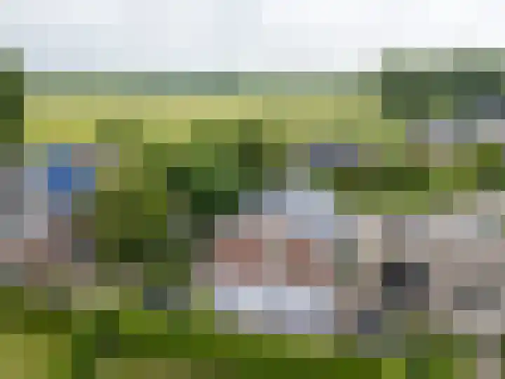Maasdijk 14 Giessen thumbnail 28