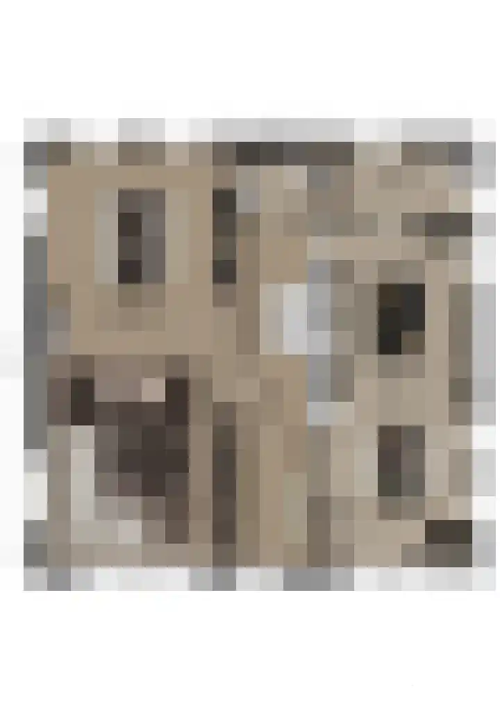 Maasdijk 14 Giessen thumbnail 47
