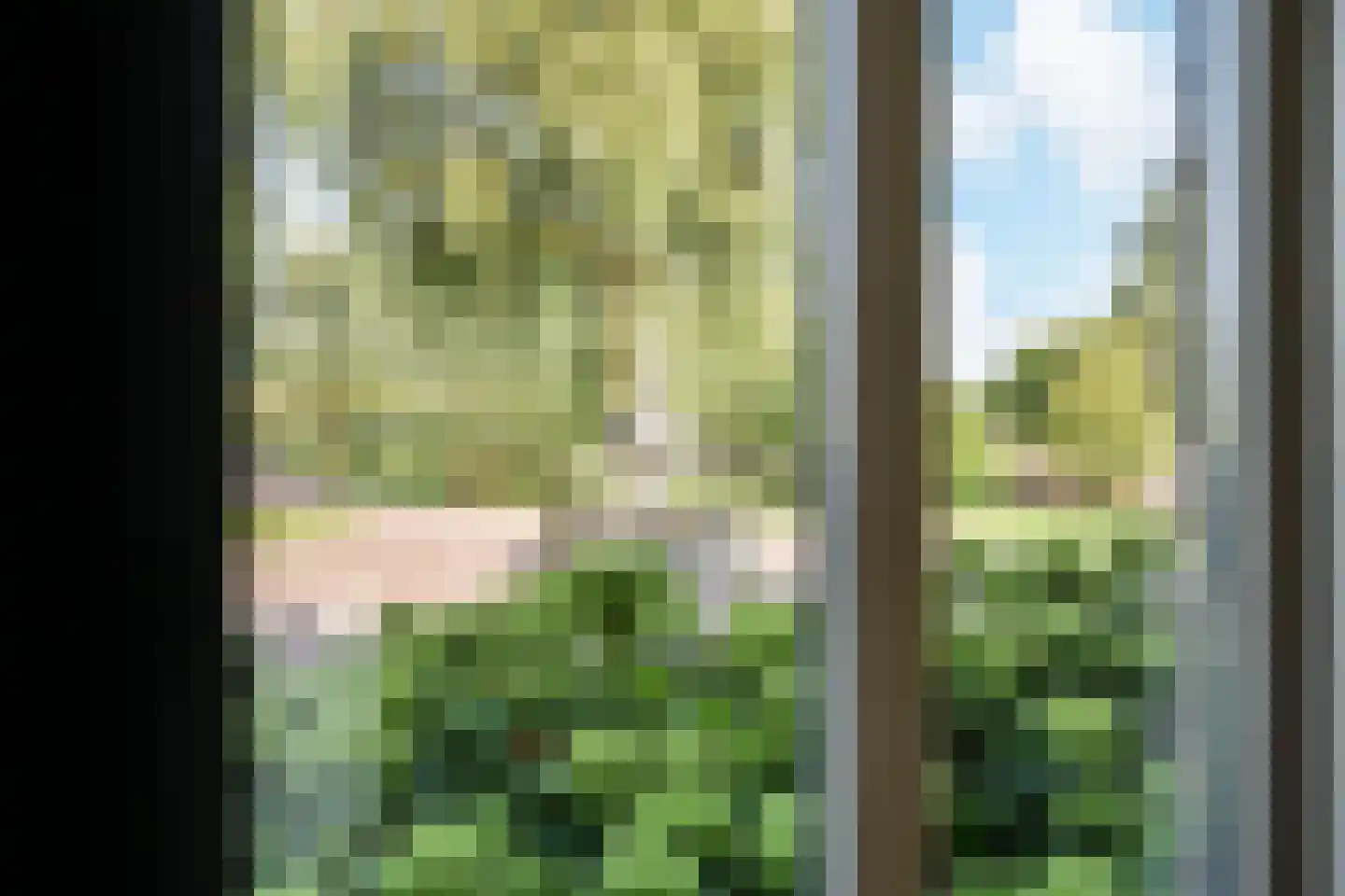 Maasdijk 14 Maasdijk thumbnail 13