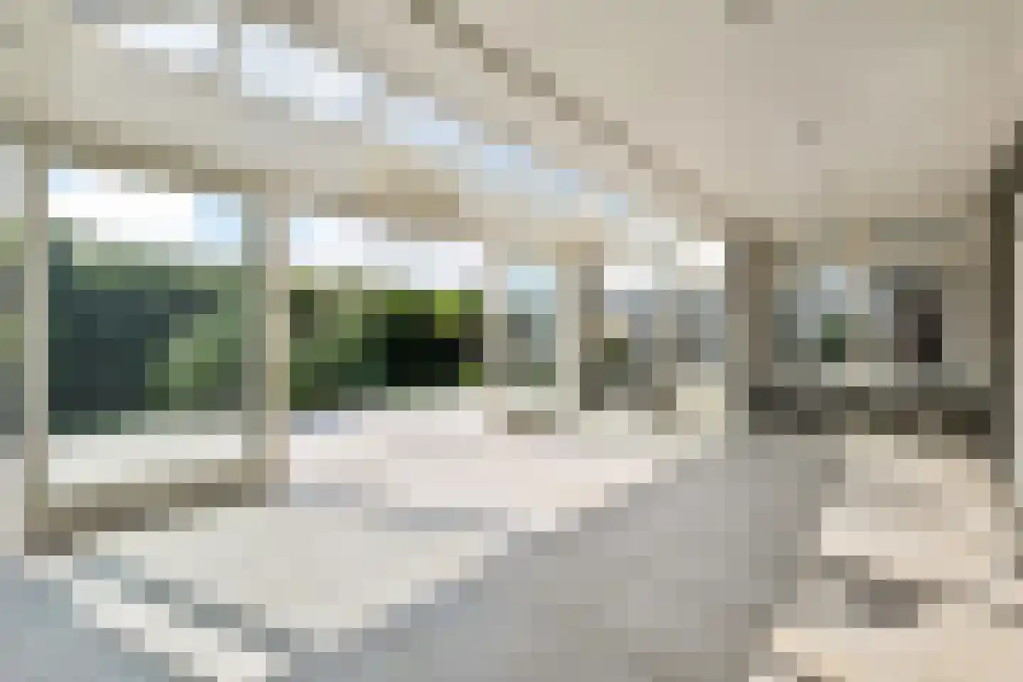 Maasdijk 14 Maasdijk thumbnail 20