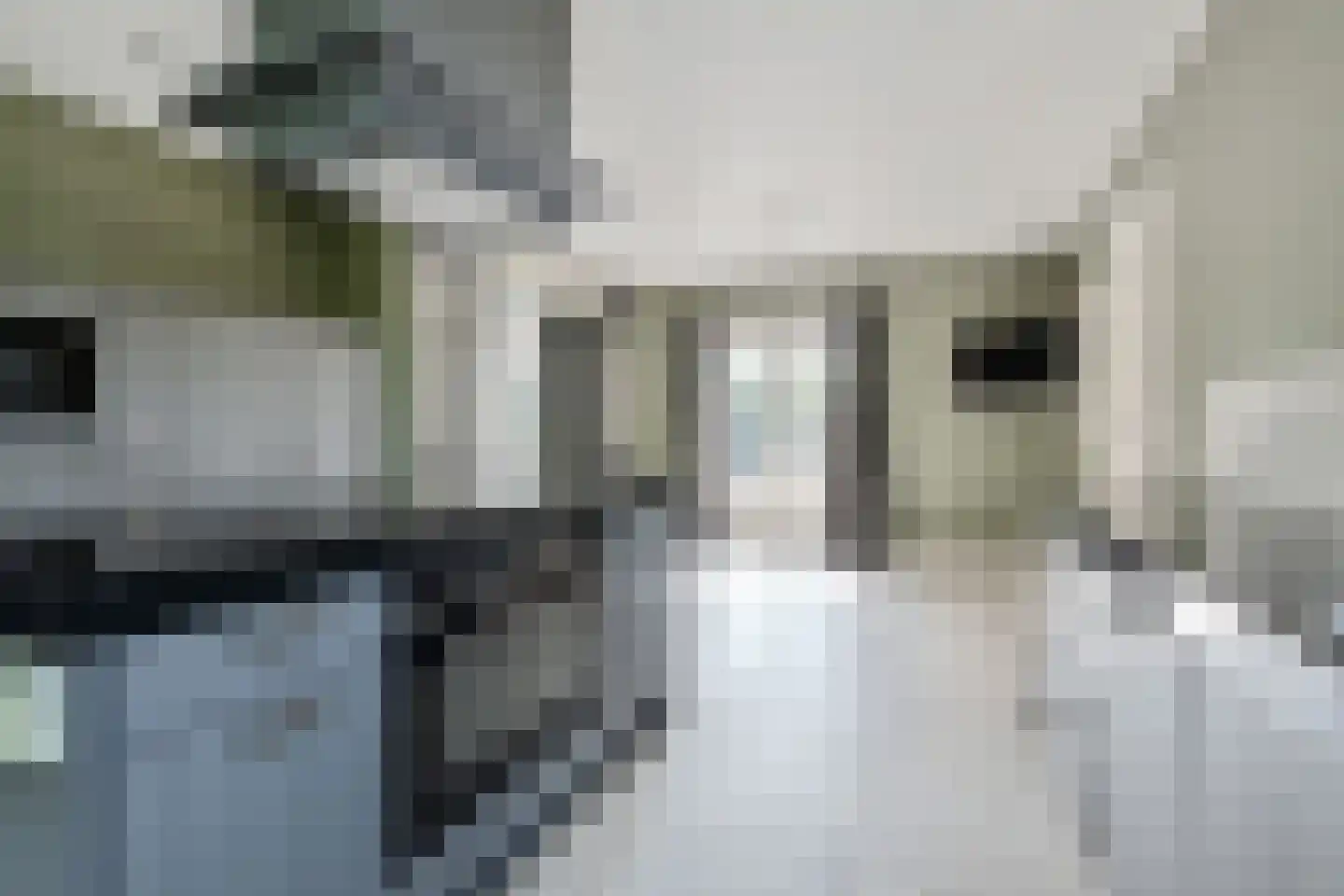 Maasdijk 14 Maasdijk thumbnail 27