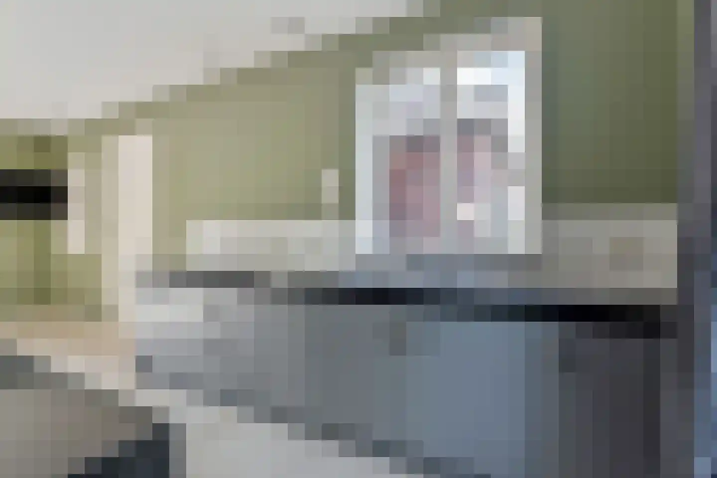 Maasdijk 14 Maasdijk thumbnail 29