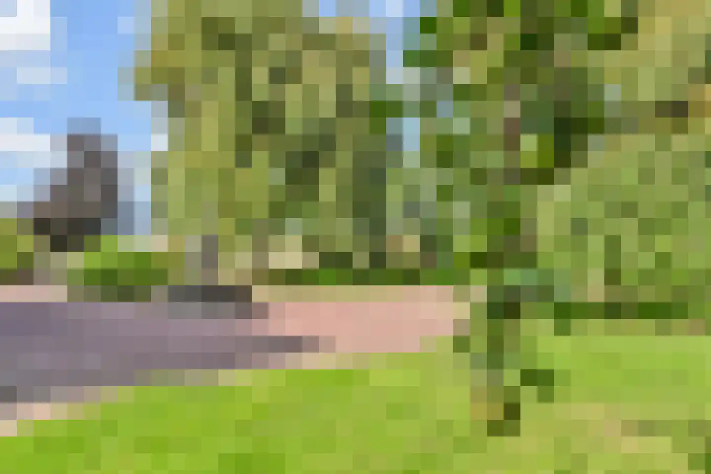 Maasdijk 14 Maasdijk thumbnail 37