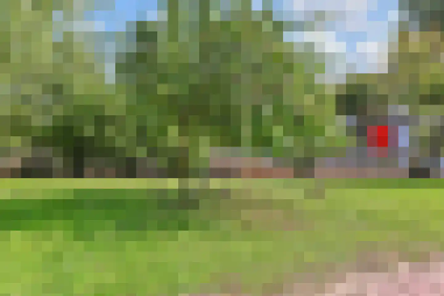 Maasdijk 14 Maasdijk thumbnail 38