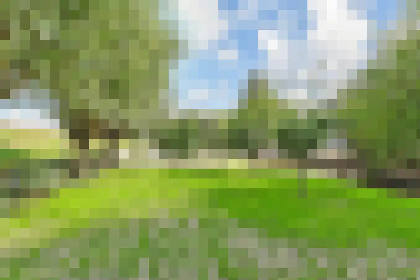 Maasdijk 14 Maasdijk thumbnail 39