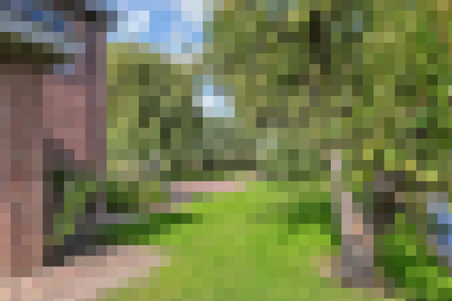 Maasdijk 14 Maasdijk thumbnail 40