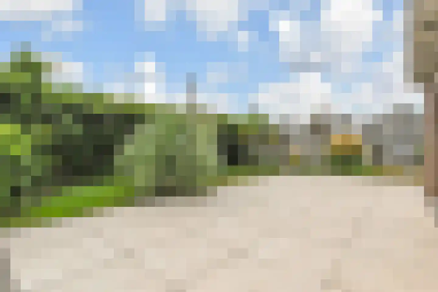 Maasdijk 14 Maasdijk thumbnail 41