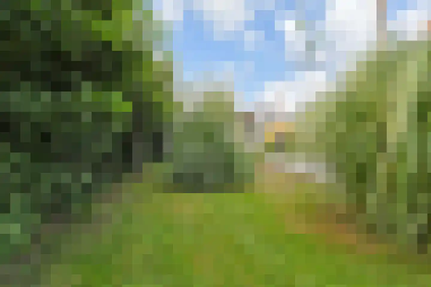 Maasdijk 14 Maasdijk thumbnail 45