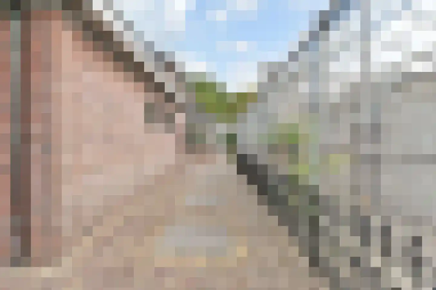 Maasdijk 14 Maasdijk thumbnail 47