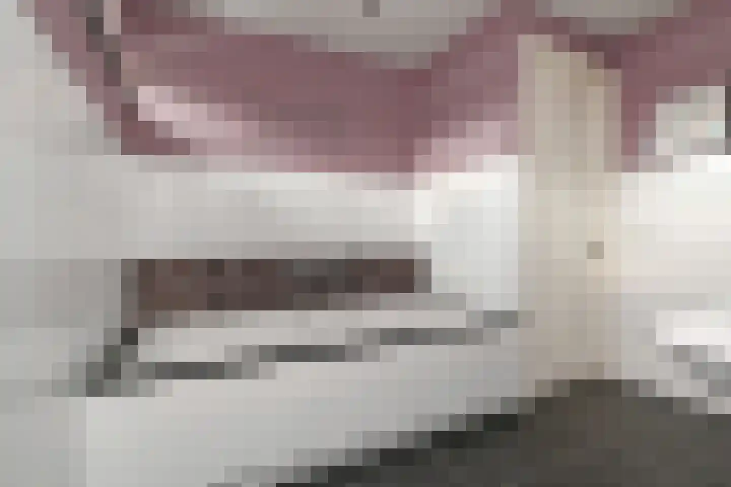 Maasdijk 14 Maasdijk thumbnail 65