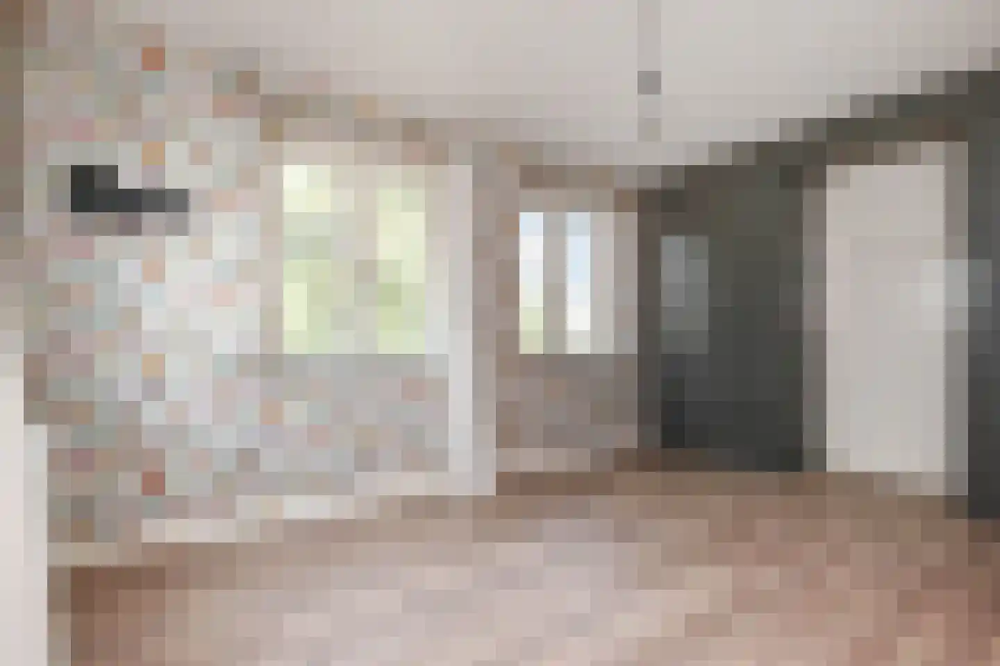 Maasdijk 14 Maasdijk thumbnail 69