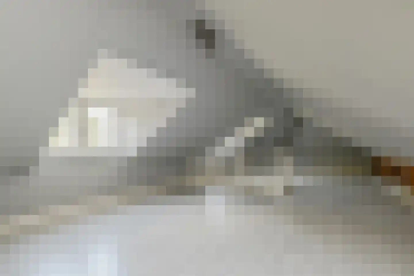 Maasdijk 14 Maasdijk thumbnail 71