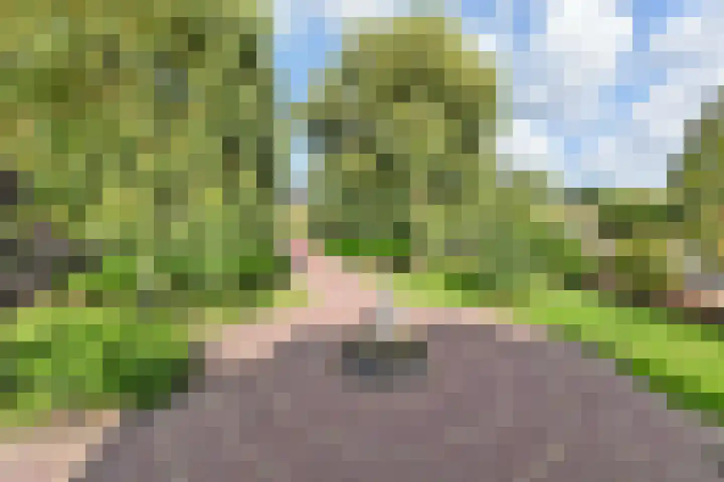 Maasdijk 14 Maasdijk thumbnail 76
