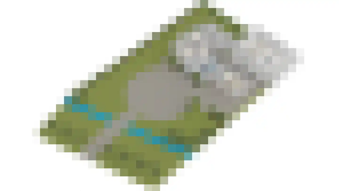 Maasdijk 14 Maasdijk thumbnail 90