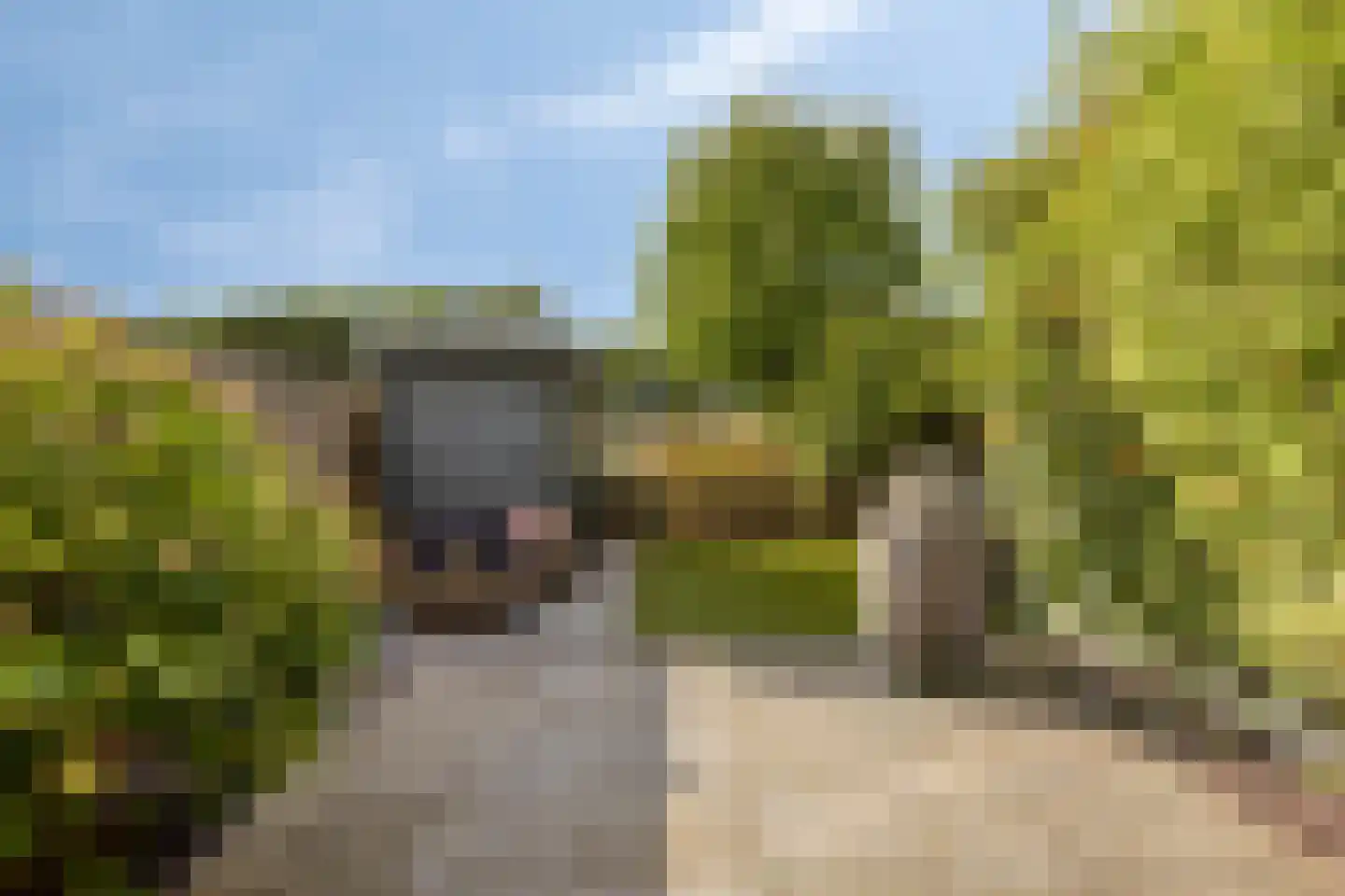 Maasdijk 141 Breda thumbnail 30