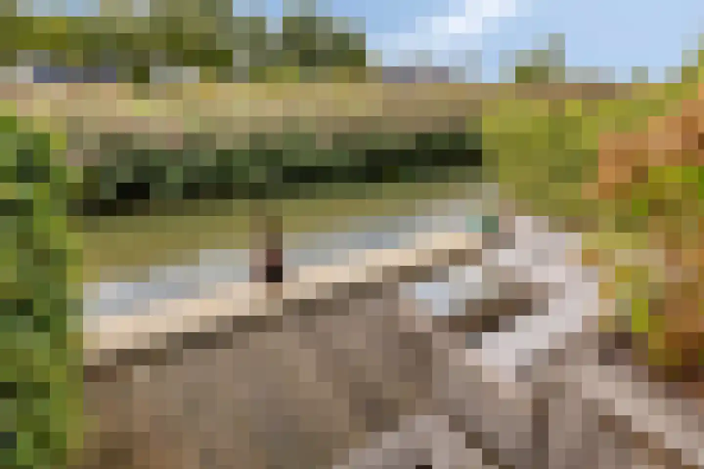 Maasdijk 141 Breda thumbnail 31