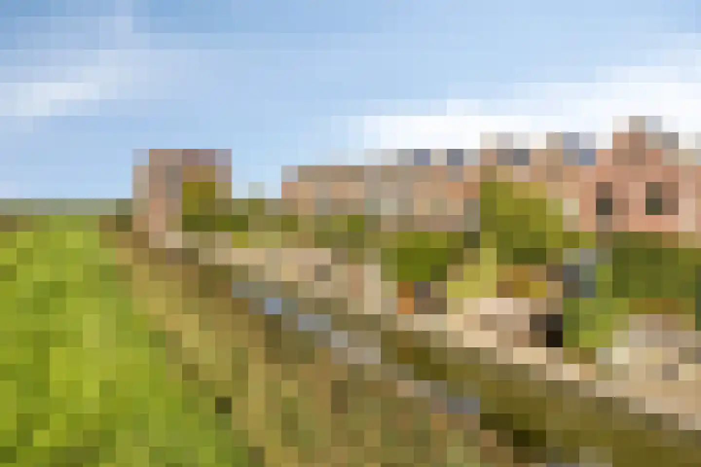 Maasdijk 141 Breda thumbnail 33