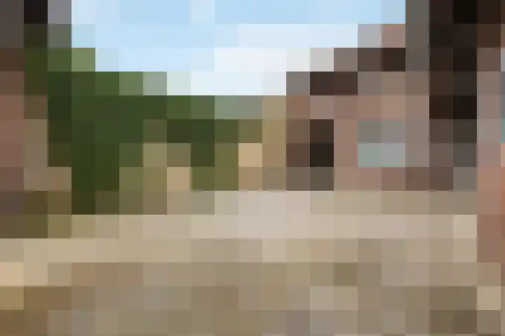 Maasdijk 15 A Megen thumbnail 39