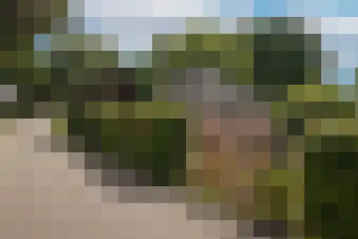 Maasdijk 15 A Megen thumbnail 44