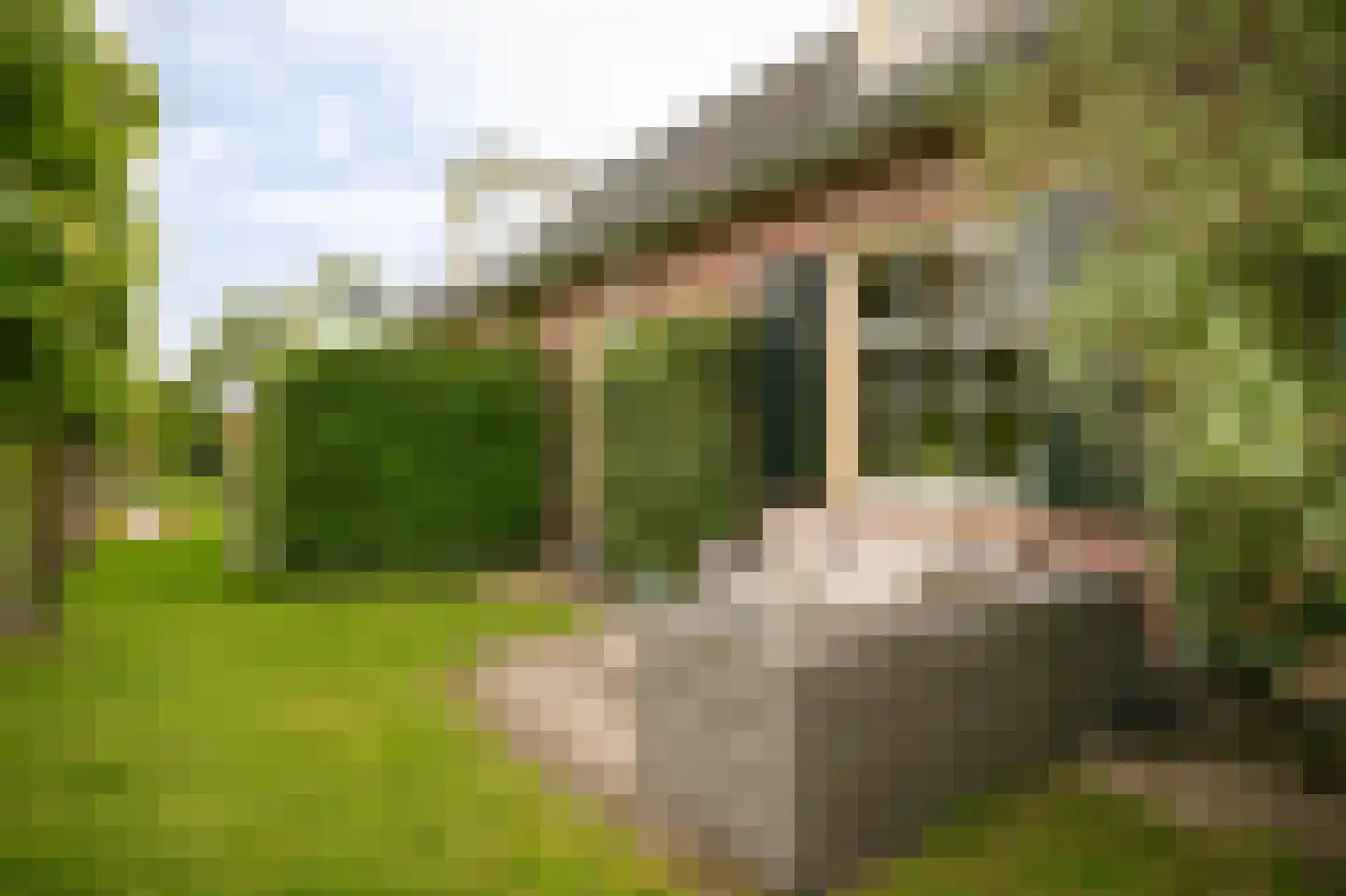 Maasdijk 152 Rossum thumbnail 37