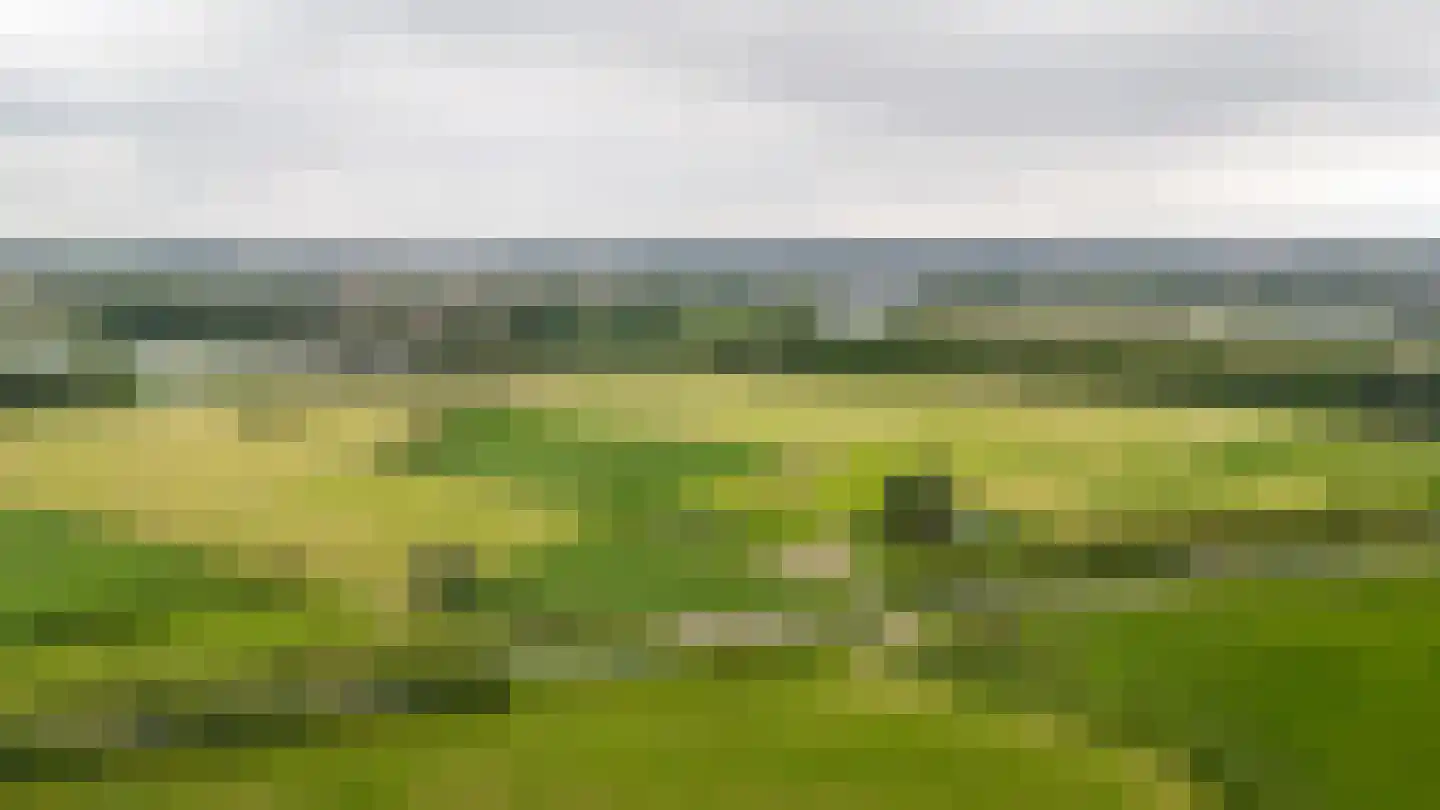 Maasdijk 152 Rossum thumbnail 49
