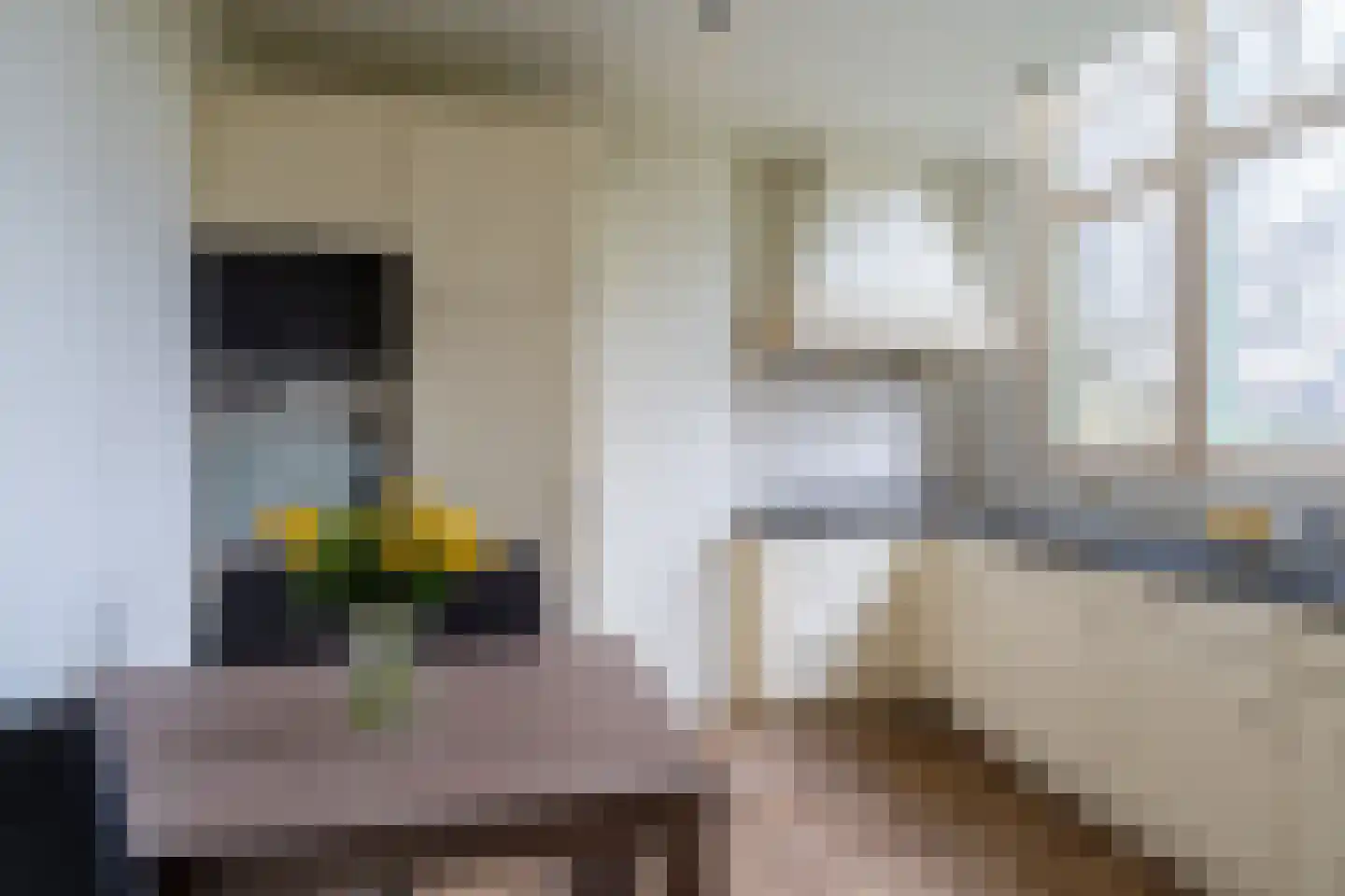 Maasdijk 16 Raamsdonksveer thumbnail 16
