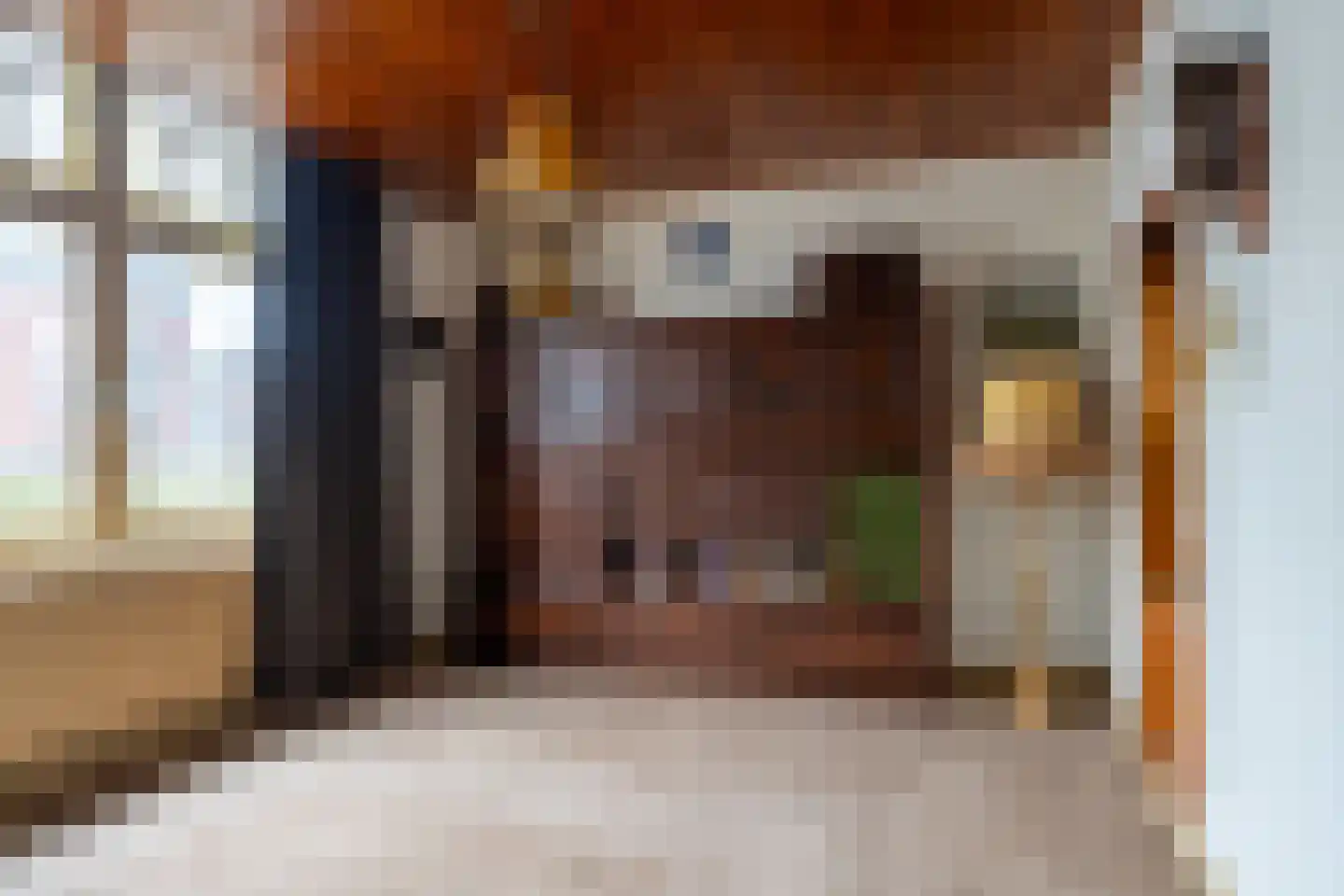 Maasdijk 16 Raamsdonksveer thumbnail 18