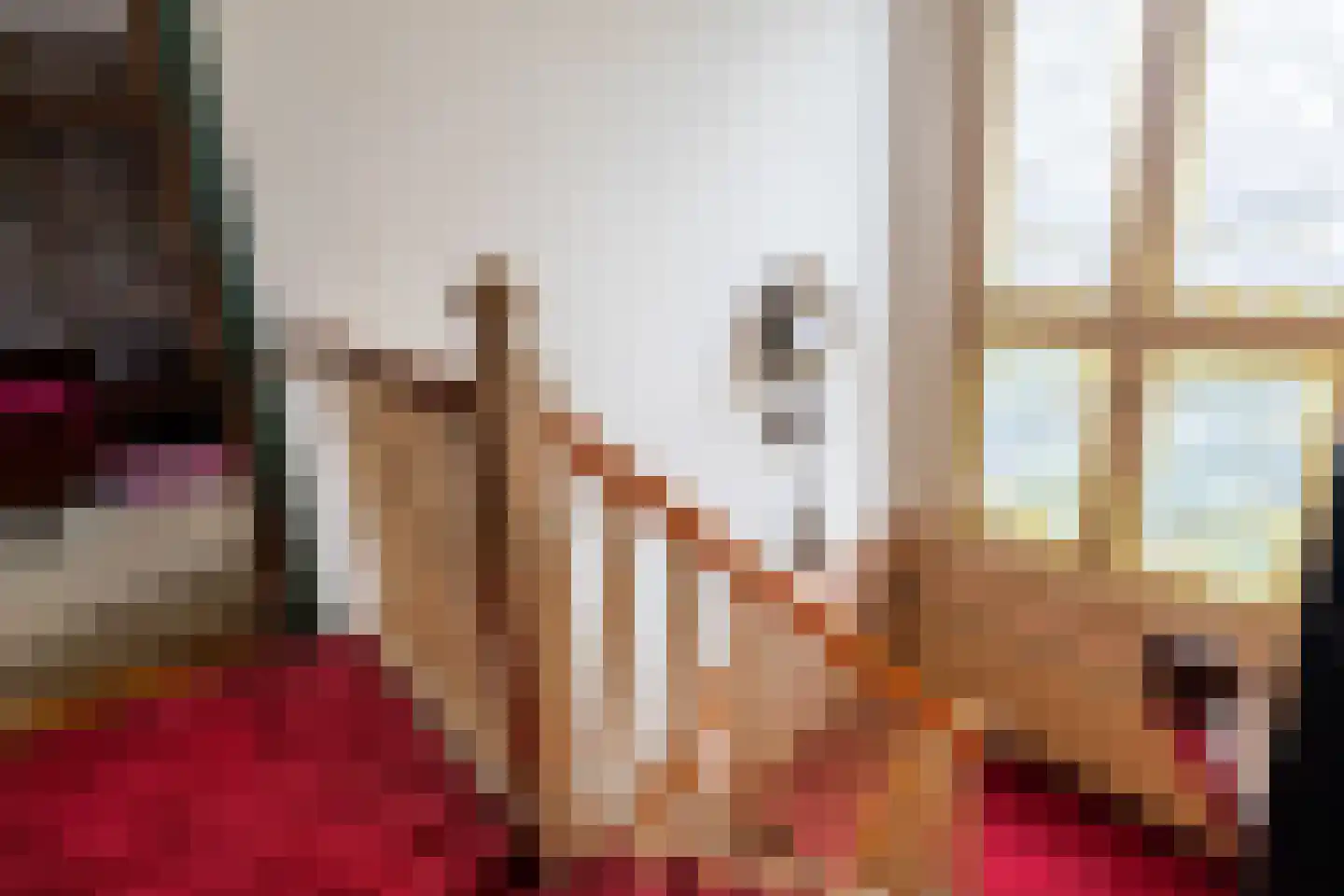 Maasdijk 16 Raamsdonksveer thumbnail 20