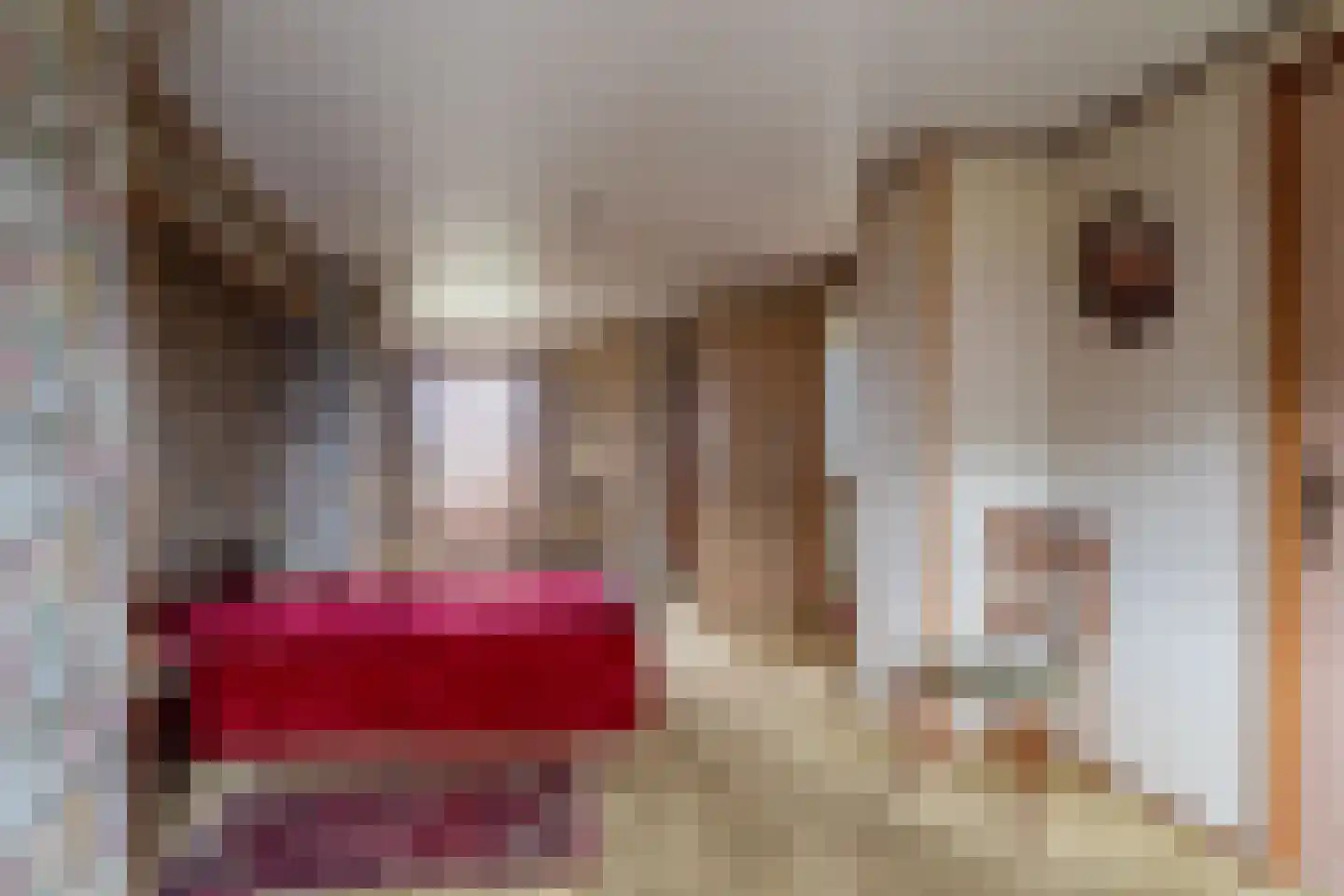 Maasdijk 16 Raamsdonksveer thumbnail 23