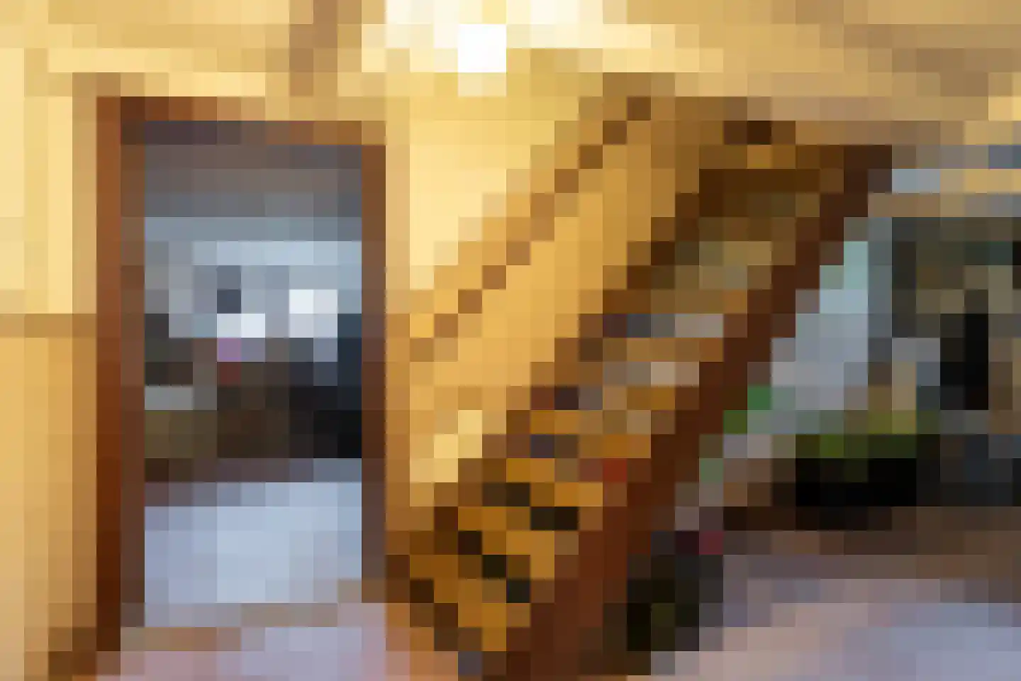 Maasdijk 16 Raamsdonksveer thumbnail 30