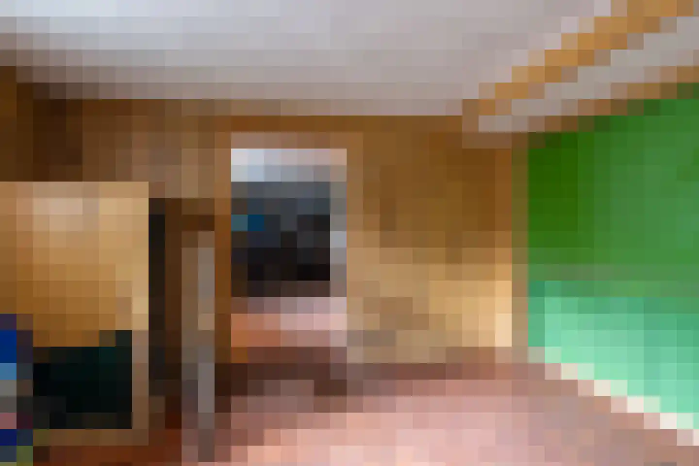 Maasdijk 16 Raamsdonksveer thumbnail 34