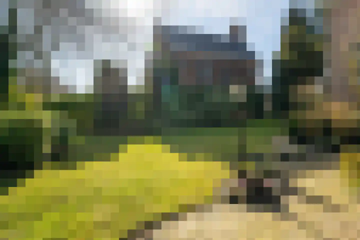 Maasdijk 16 Raamsdonksveer thumbnail 41