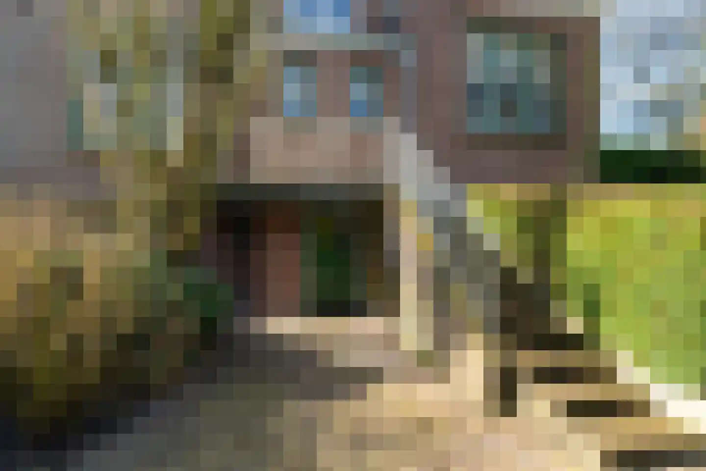 Maasdijk 16 Raamsdonksveer thumbnail 45