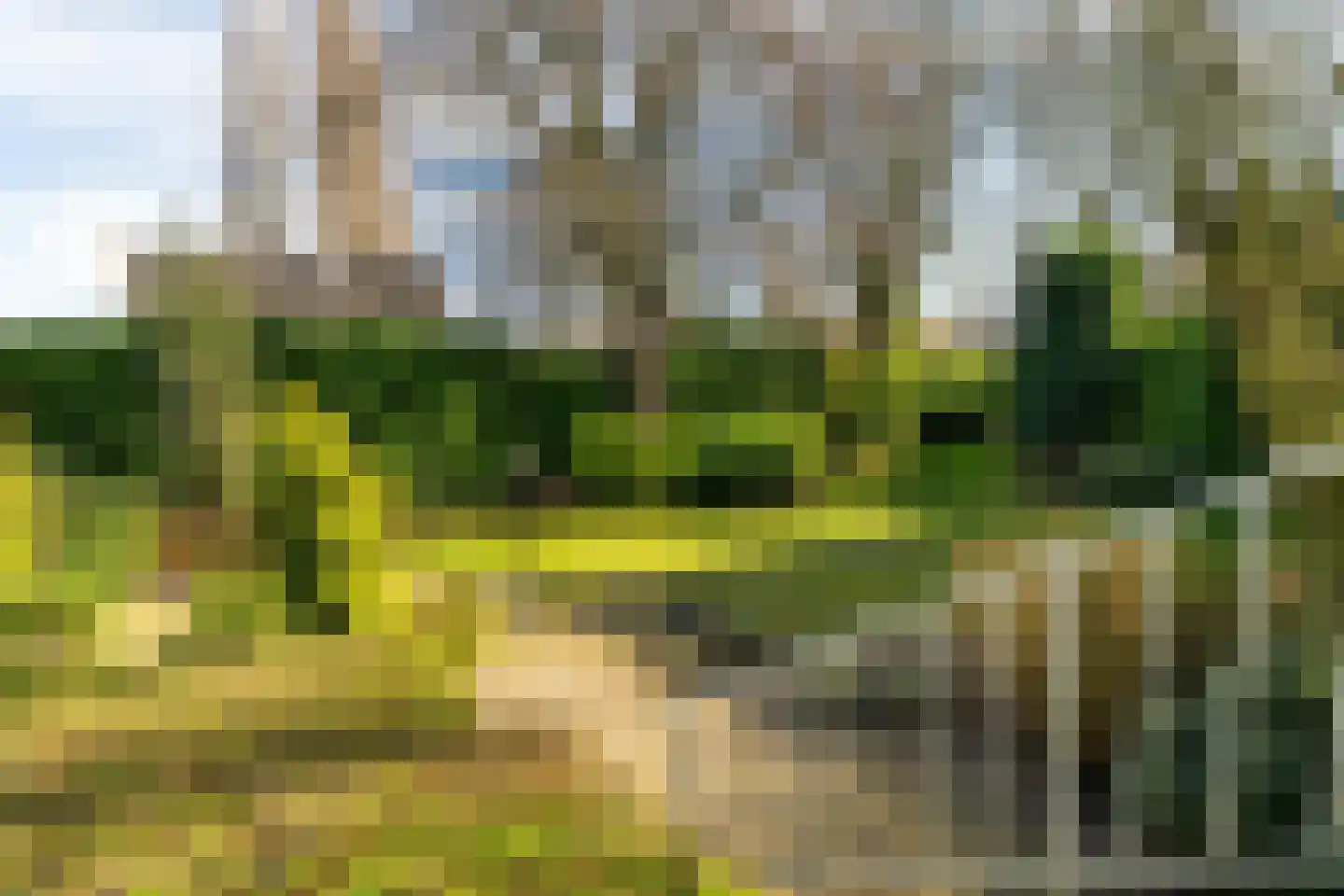 Maasdijk 16 Raamsdonksveer thumbnail 46
