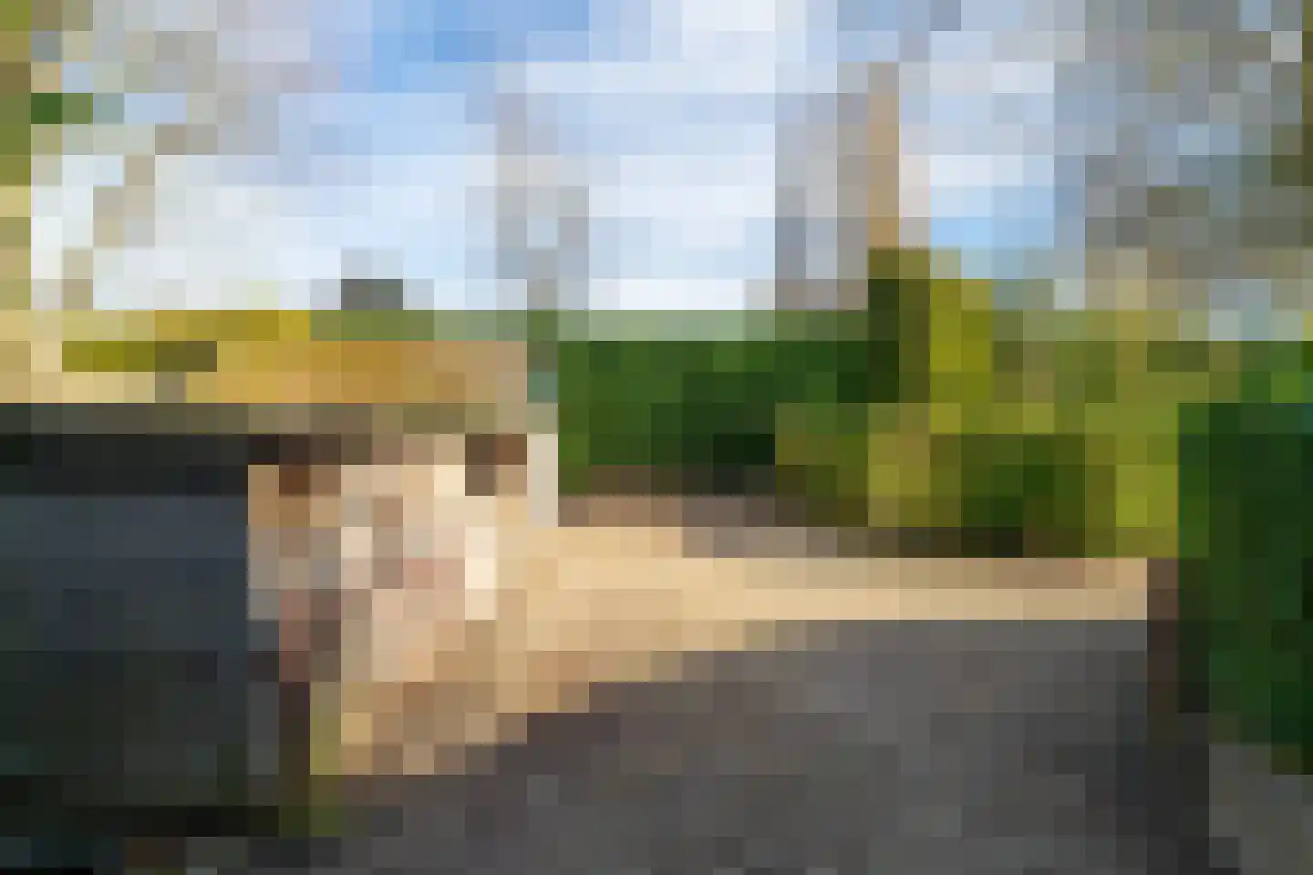 Maasdijk 16 Raamsdonksveer thumbnail 47