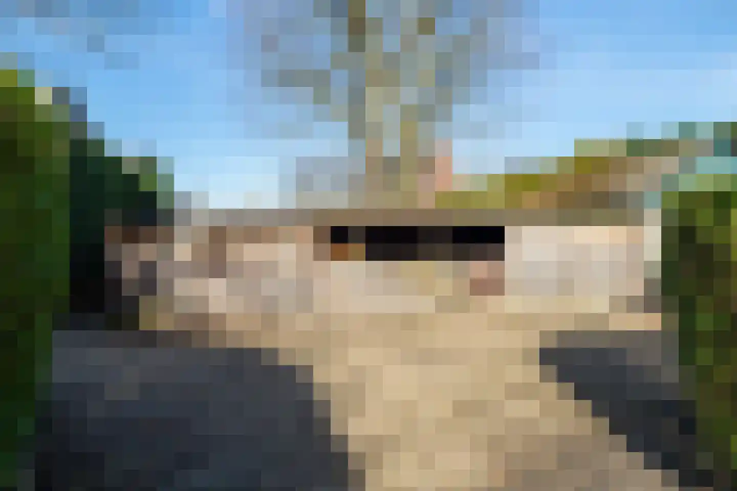 Maasdijk 16 Raamsdonksveer thumbnail 48
