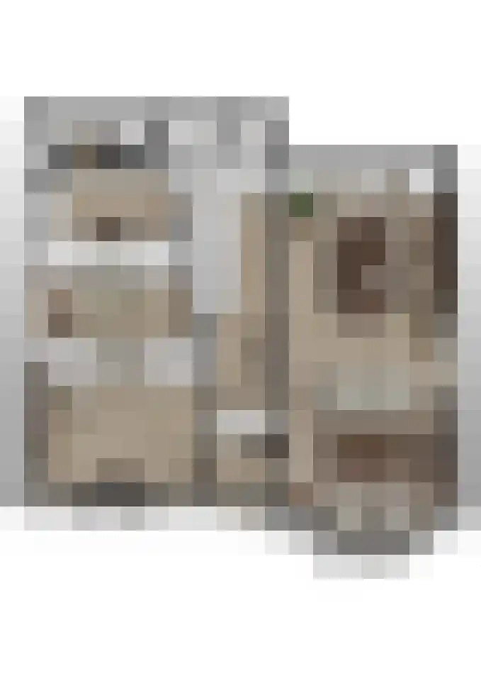 Maasdijk 16 Raamsdonksveer thumbnail 50