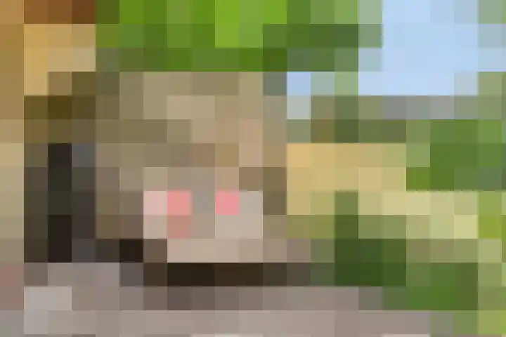Maasdijk 17 Mijnsheerenland thumbnail 10