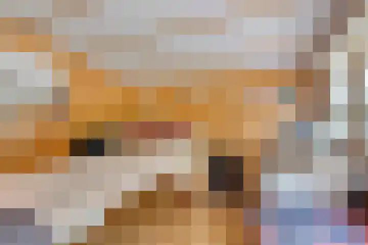 Maasdijk 17 Mijnsheerenland thumbnail 11